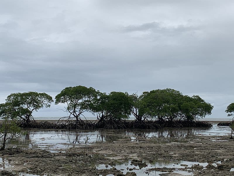 O que fazer na Ilha de Boipeba