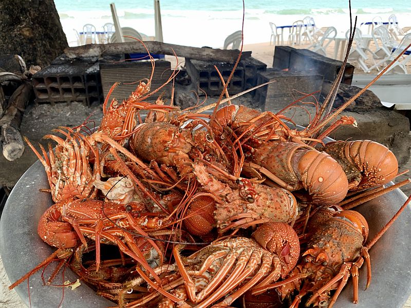 O que fazer na Ilha de Boipeba