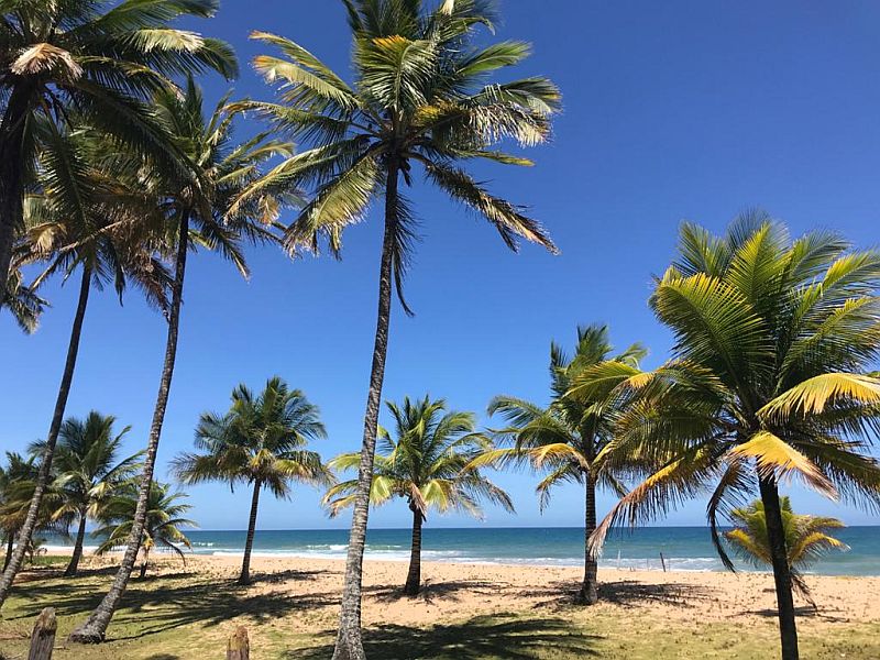 que fazer na Península de Maraú