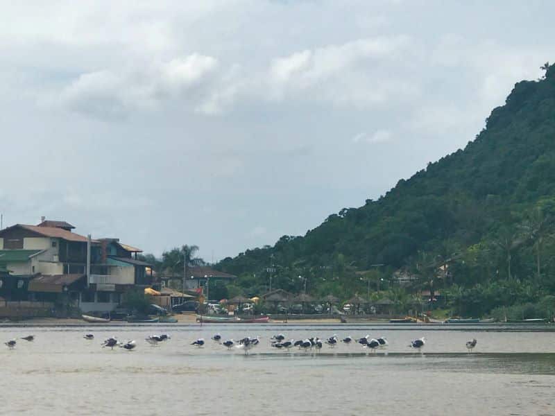 roteiro no litoral de Santa Catarina