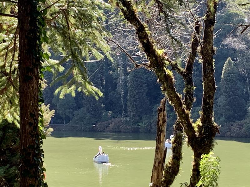 O que fazer em Gramado e Canela com crianças 59