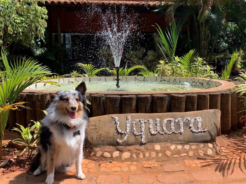 Águas quentes naturais em Minas Gerais 11