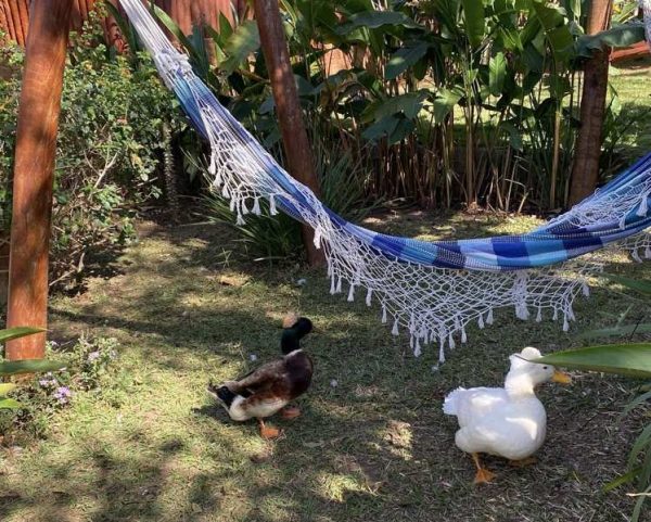 Chalés na Roça Pirenópolis