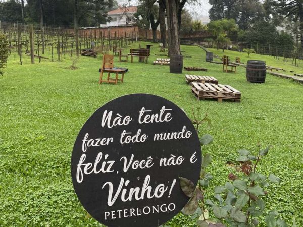 O que fazer no Vale dos Vinhedos em 03 dias