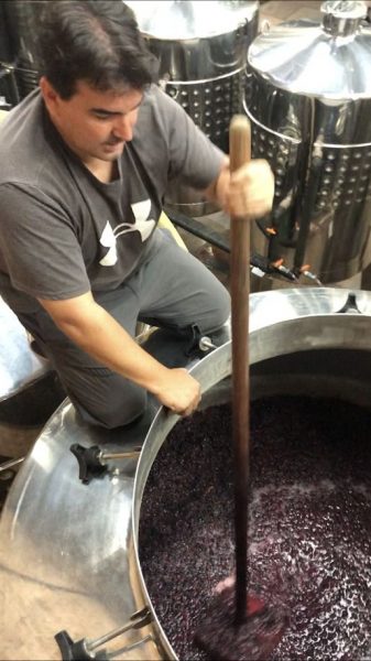 Making Wine 