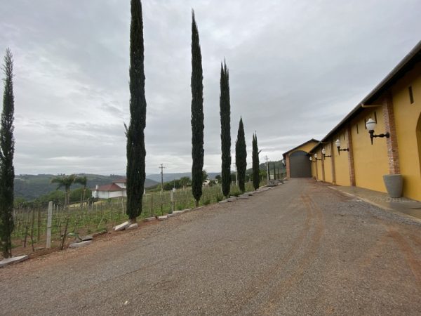 Vinícola Valmarino- o que fazer em Pinto Bandeira